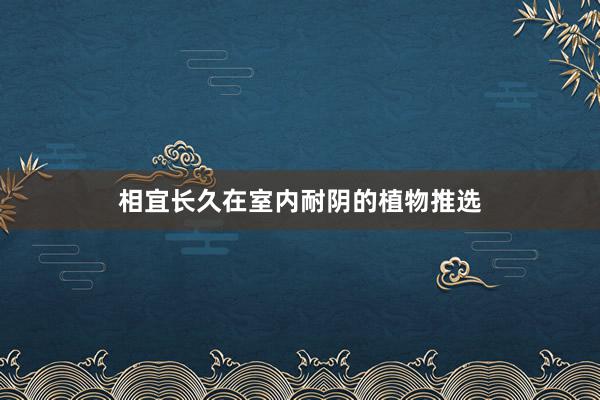 相宜长久在室内耐阴的植物推选