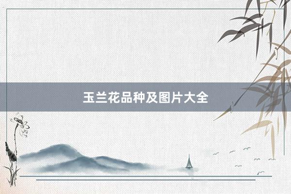 玉兰花品种及图片大全