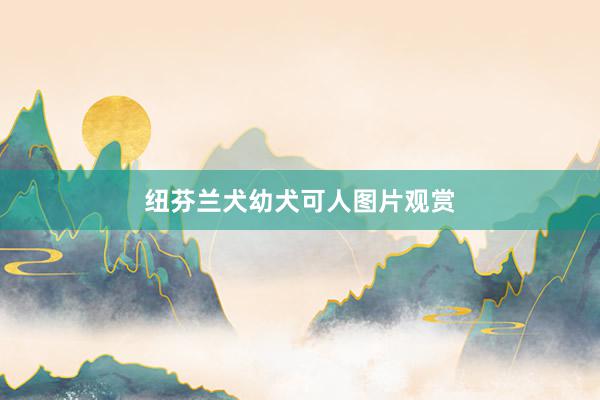 纽芬兰犬幼犬可人图片观赏